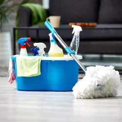 cleaning-supplies-arranged-in-a-tidy-room-2026-01-09-09-23-50-utc